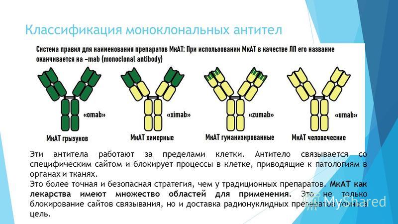 Моноклональные Антитела Препараты Цена