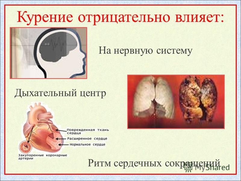 Как никотин влияет на мозг