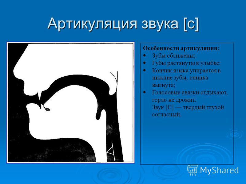 Как произносить слово р. Положение органов артикуляции при произнесении звука с. Правильная артикуляция звука с. Положение языка при звуке с.