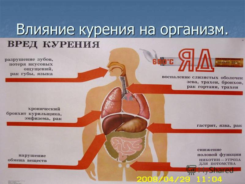 Курение организм. Влияние курения на печень. Воздействие никотина на печень.