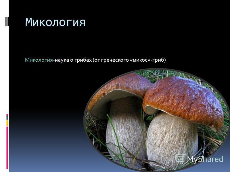 Наука которая изучает грибы. Микология грибы. Микология наука о грибах. Микология презентация. Микология наука о грибах 5 класс.
