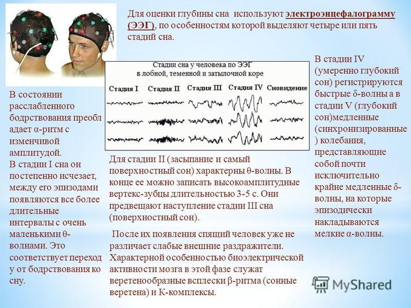 Ночной мониторинг. ЭЭГ дневного сна. Электроэнцефалография сна. Стадии сна по ЭЭГ. ЭЭГ сна здорового человека.