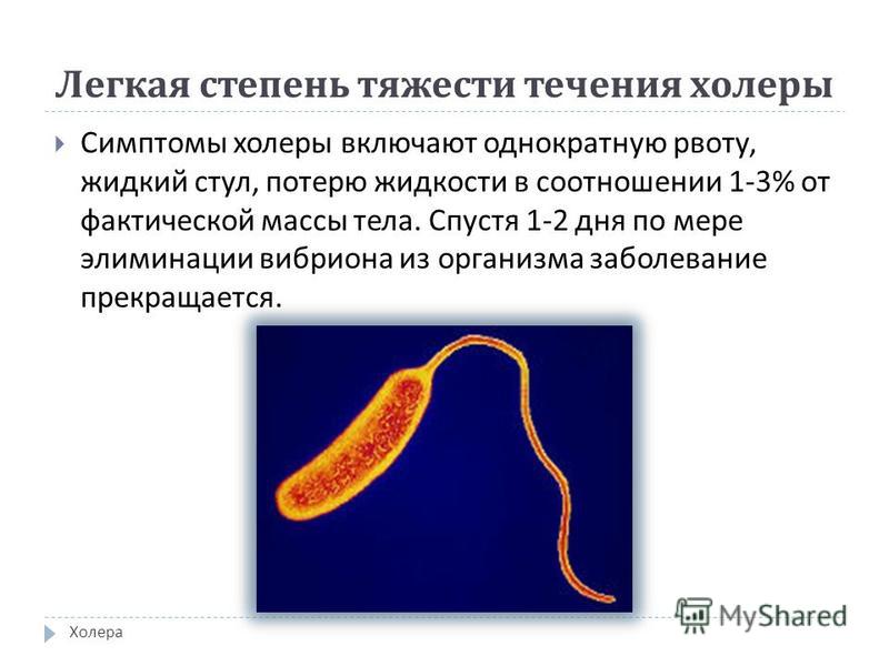 Виды холеры. Риф холерный вибрион. Холерный вибрион клинические проявления.