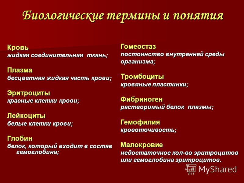 Основное значение 5