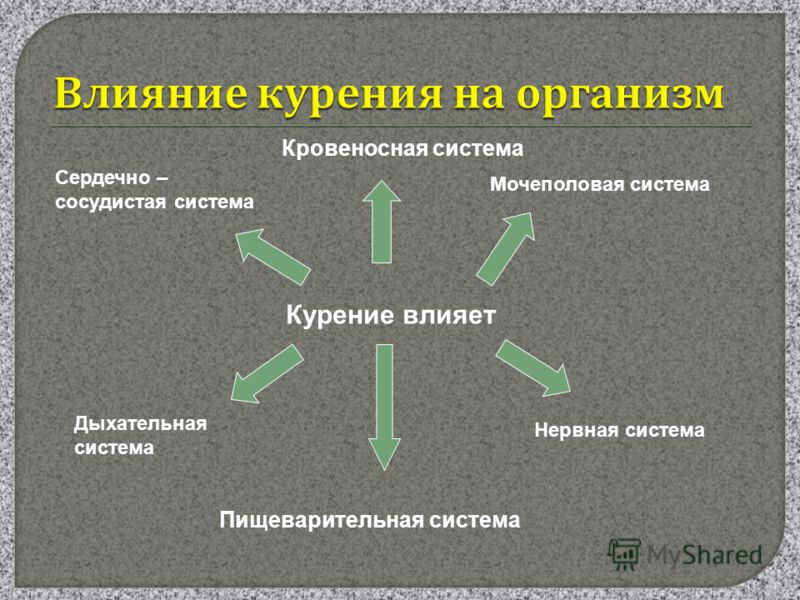 Проект на тему влияние никотина на организм человека