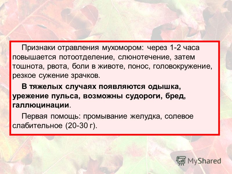 Признаки отравления 5. Отравление мухомором симптомы. При отравлении мухомором. Симптомы при отравлении мухомором. Отравление мухомором антидот.