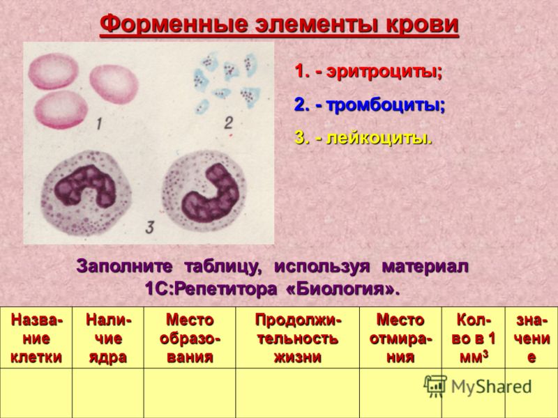 Лейкоциты в 6 месяцев. Бактериальная инфекция лейкоцитарная формула. Лейкоцитарная формула при вирусных инфекциях. Лейкоформула при бактериальной инфекции. Лейкоцитарная формула при бактериальной инфекции.