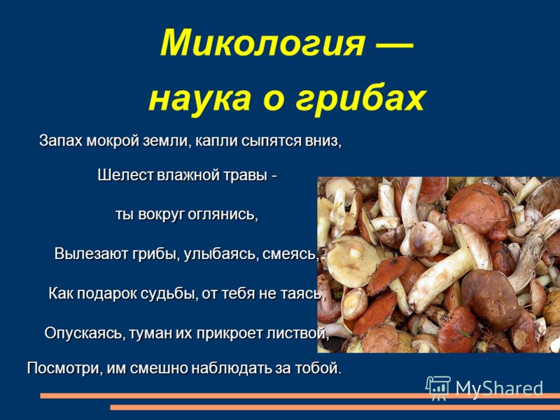 Микология