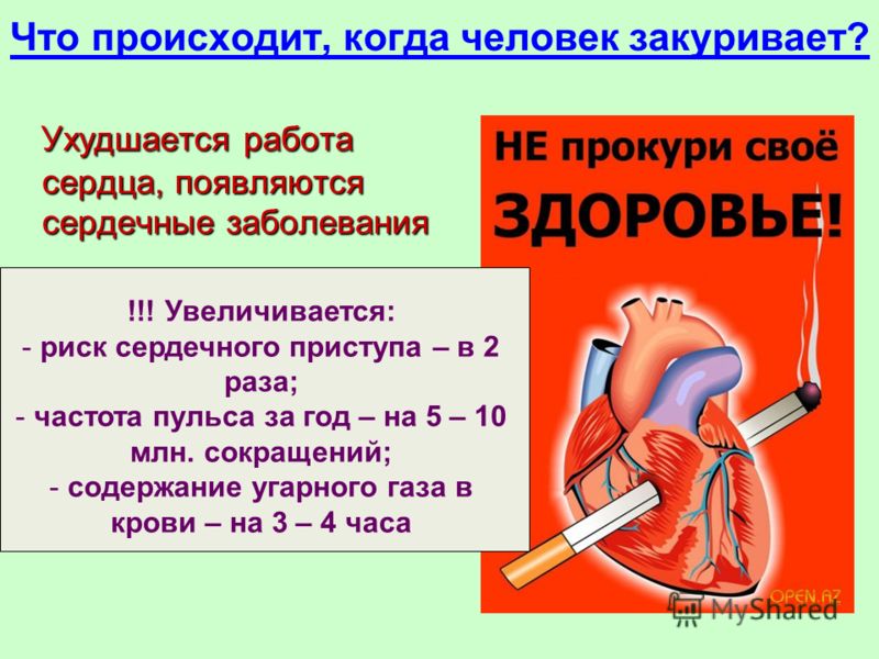 Сердечный возникнуть. Влияние курения на работу сердца. Что происходит когда человек курит. Воздействие курения на работу сердца. Органы курильщика сердце.