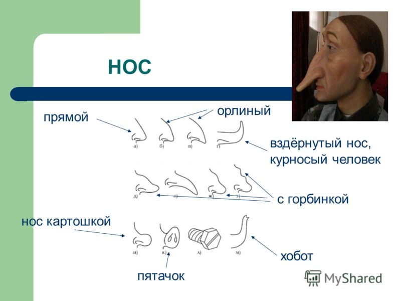 Что обозначает нос