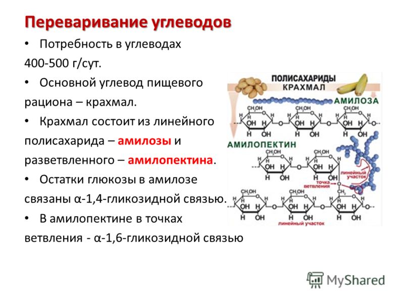 Хранение углеводов