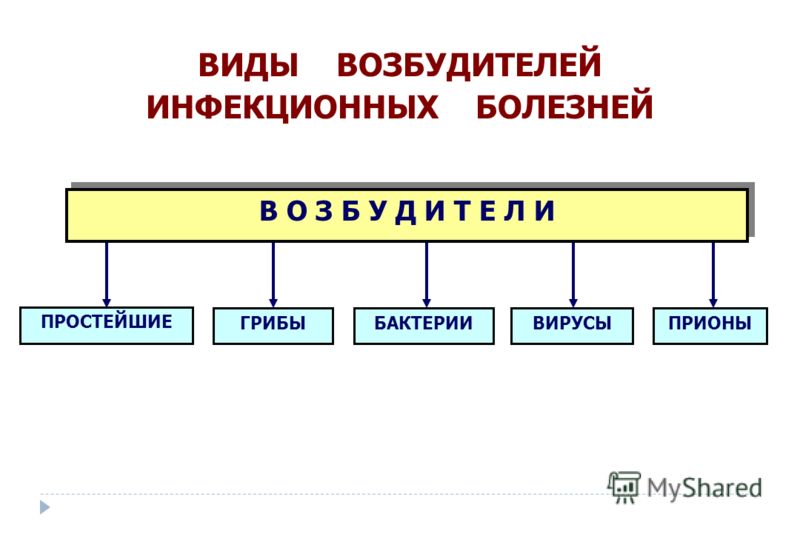 Перечислите инфекционные