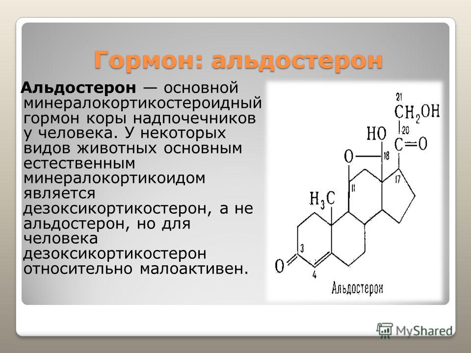 Виды гормонов