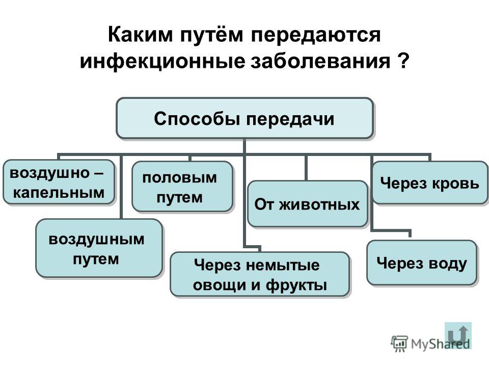 Инфекционные заболевания виды