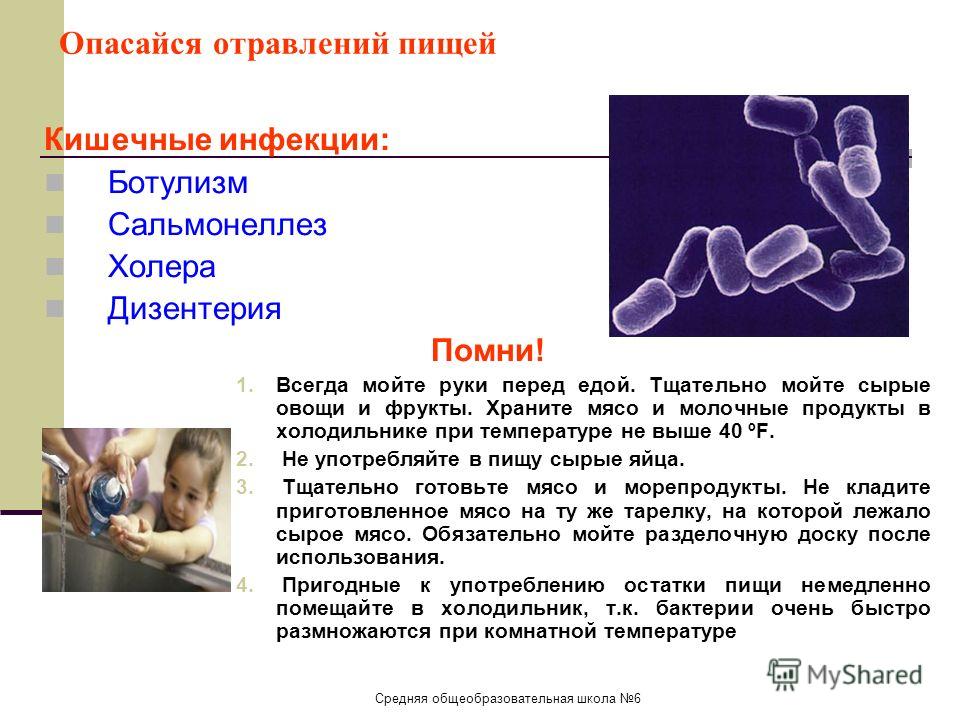 Дизентерия вирусная инфекция. Острые кишечные инфекции дизентерия холера сальмонеллез. Дизентерия холера ботулизм. Анкетирование на тему дизентерия.