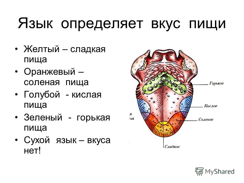 Как определить язык на картинке