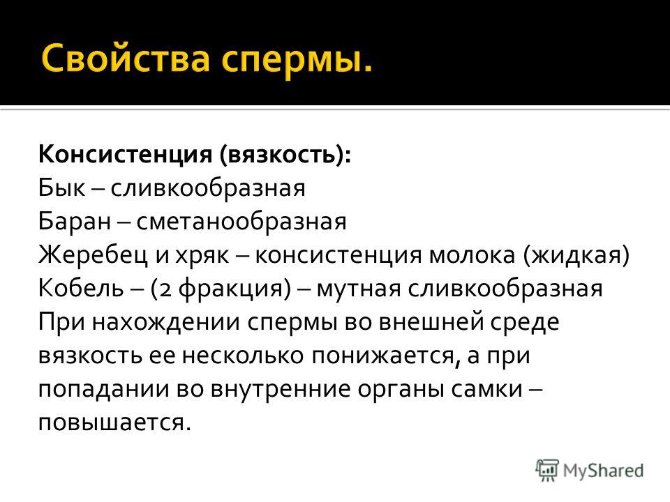 Польза спермы. Консистенция и вязкость. Свойства сперматозоидов. Чем полезен cum для организма. Консистенция сперматозоидов.