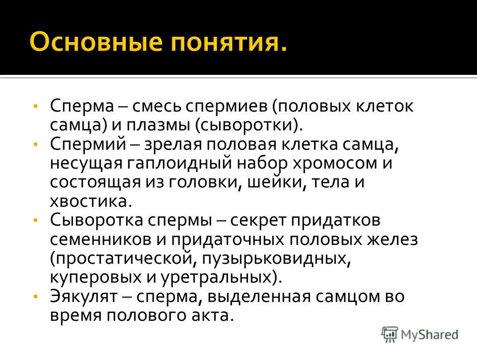 Польза спермы. Химический состав сперматозоидов. Кончина. Жизнеспособность смеси это.