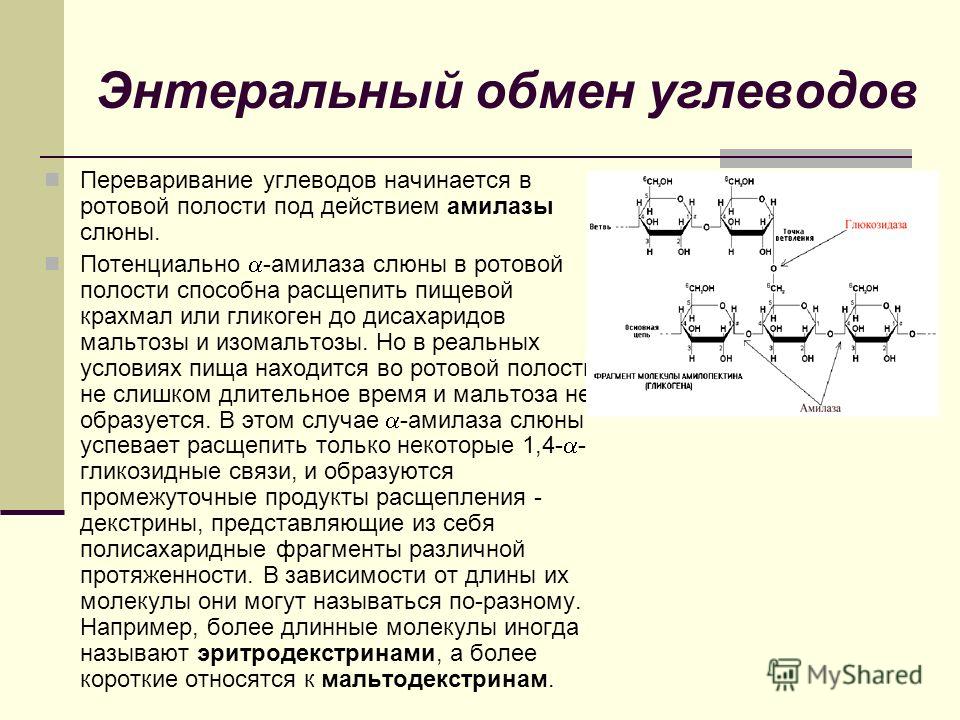 Ротовая полость продукты расщепления