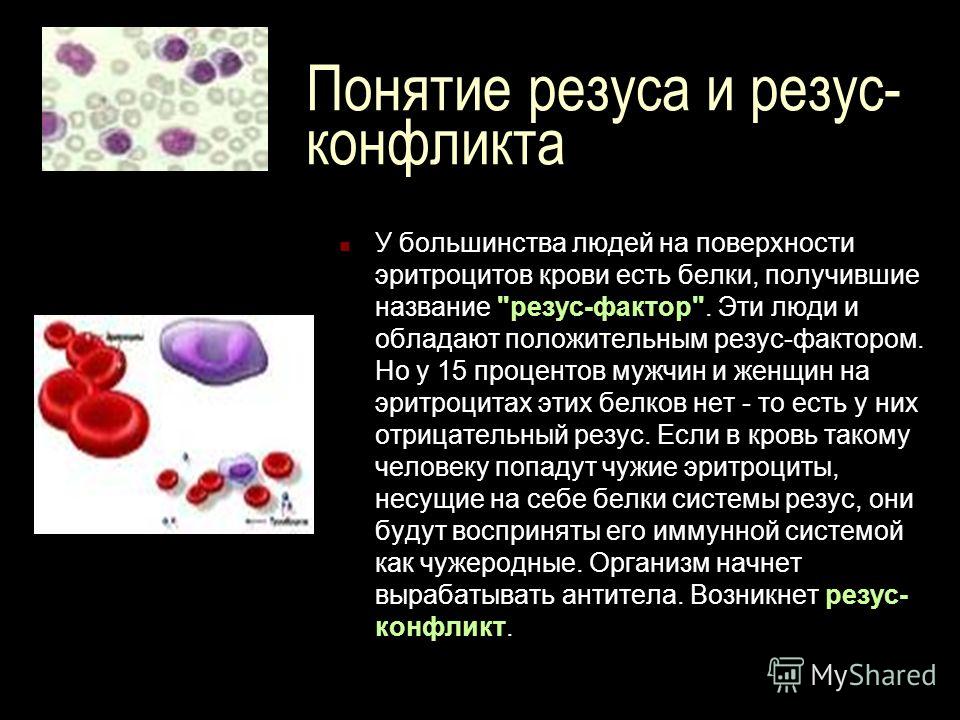 Резус конфликт при беременности что это