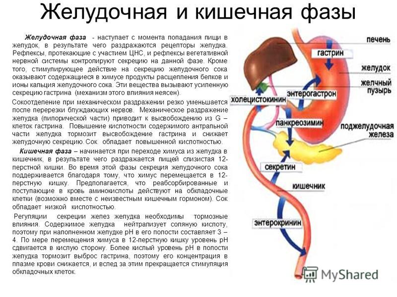 Если в легкие попала еда что будет