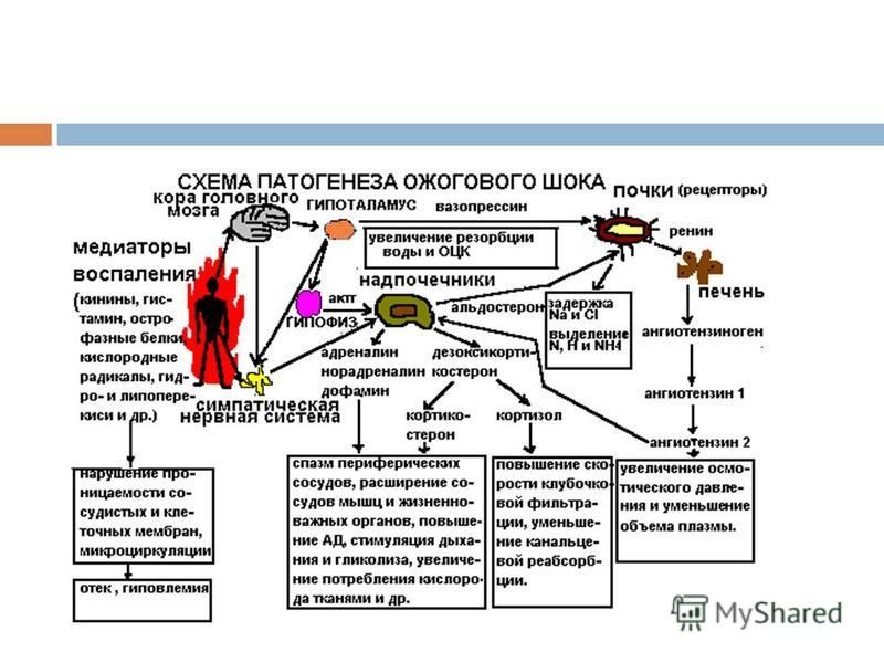 Патогенез шока. Патогенез ожоговой болезни патофизиология. Схема патогенеза ожоговой болезни. Патогенез ожогового шока. Ожоговый ШОК этиология патогенез.