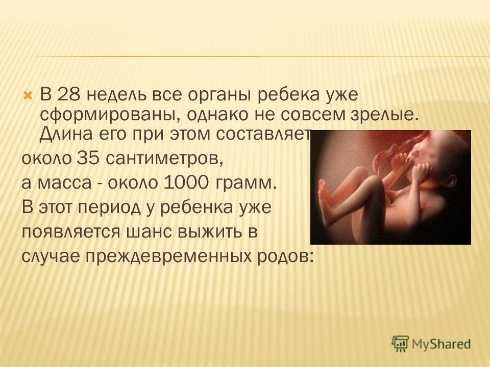 29 недель вес плода. Вес плода в 28 недель. Масса ребенка в 28 недель беременности. Масса плода в 28 недель. Вес на 28 неделе беременности.