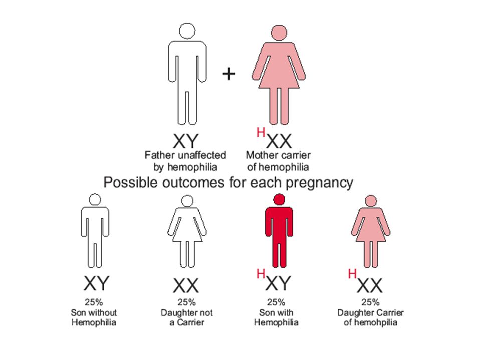 Мать гемофилии отец здоров. Hemophilia Genetics. Вид гемофилии протекающей бессимптомно.