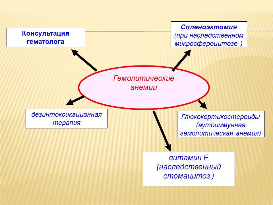 Консультация гематолога. Консультация гематолога анемия. Показания для консультации гематолога. Гемолитическая анемия Госпитальная терапия лекции.