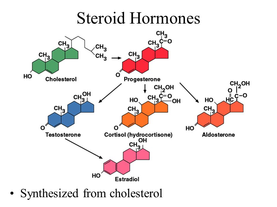 Стероидные гормоны. Стероидные гормоны формулы. Синтез тестостерона. Синтез тестостерона биохимия. Стероиды формула гормоны.