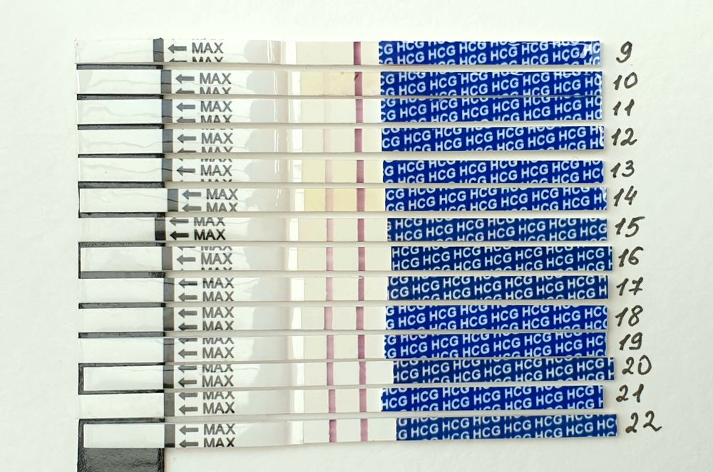 Тест динамика. Динамика тестов на 22 ДПО. Тесты с 9 ДПО динамика. Тест на беременность в динамике. ДПО беременность динамика тестов.