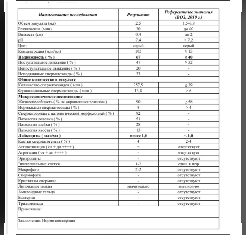 Спермограмма результаты расшифровка