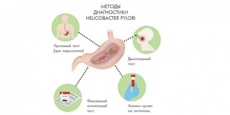 Дыхательный тест норма