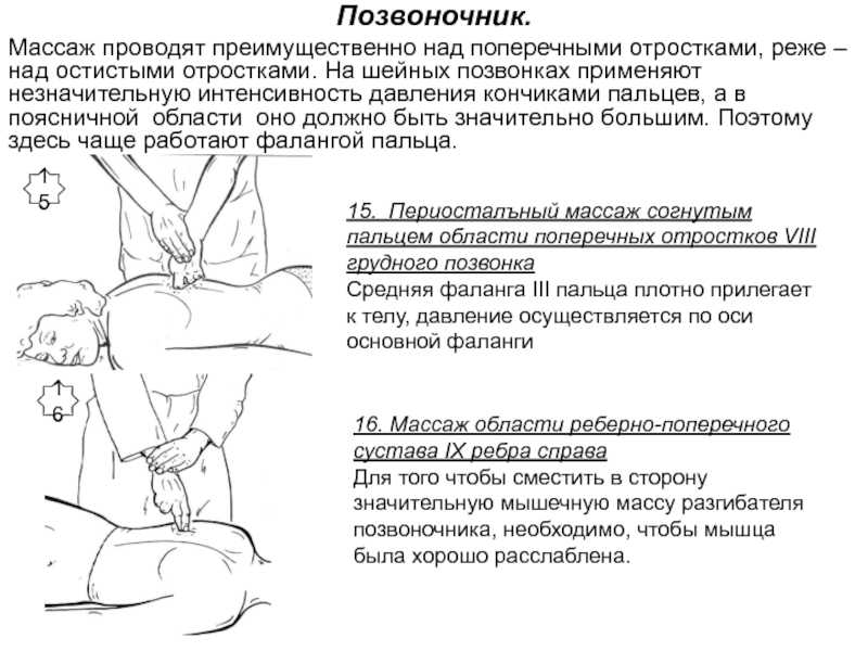 Техника массажа. Схема проведения массажа спины. Протокол классического массажа спины. Методика проведения массажа спины. Этапы массажа спины пошагово.