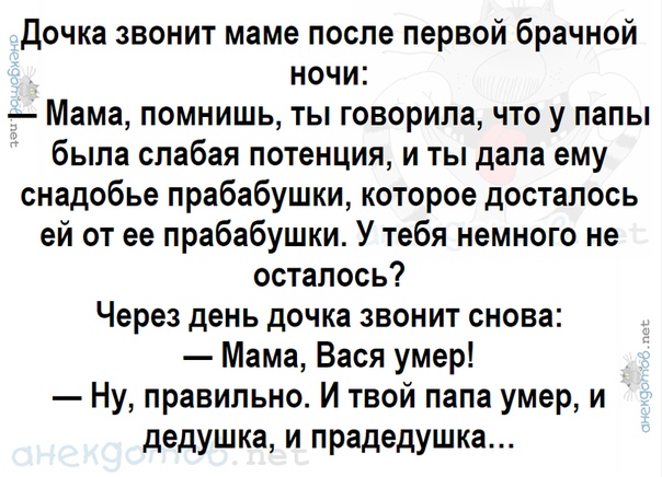 Анекдоты про брачную ночь. Анекдот про первую брачную ночь. Анекдот на ночь. Анекдот про первую брачную ночь и сосну.