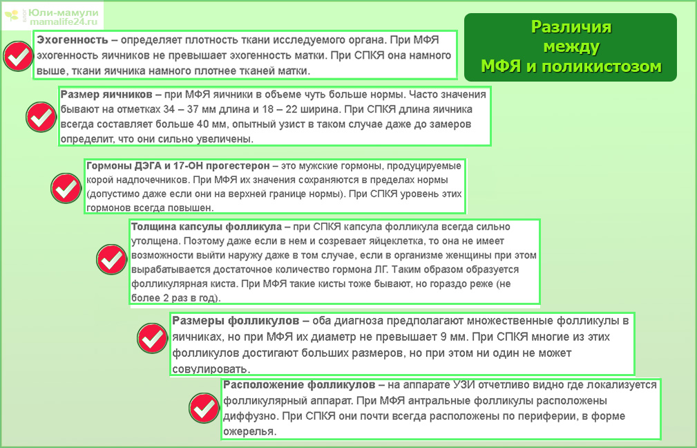 Мфя в гинекологии что. Мультифолликулярное строение яичника. Мультифолликулярная структура яичника. Мультифолликулярная трансформация яичников. Мультифолликулярные строение яичников.