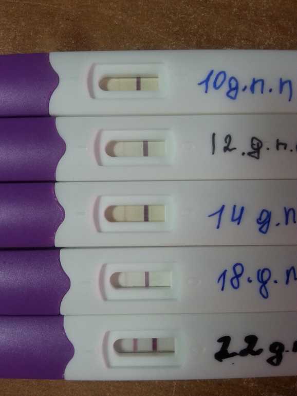 Тест на беременность перенос 5 дневки