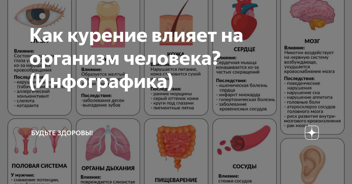 Действие курения на человека. Влияние табакокурения на органы человека. Воздействие табака на органы человека. Воздействие курения на органы.
