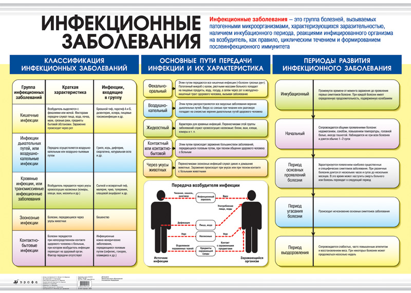 Инфекционные болезни в картинках и схемах