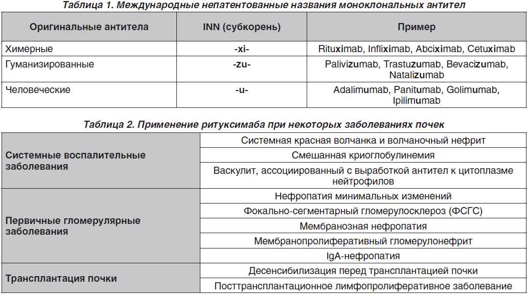 Моноклональные Антитела Препараты Цена
