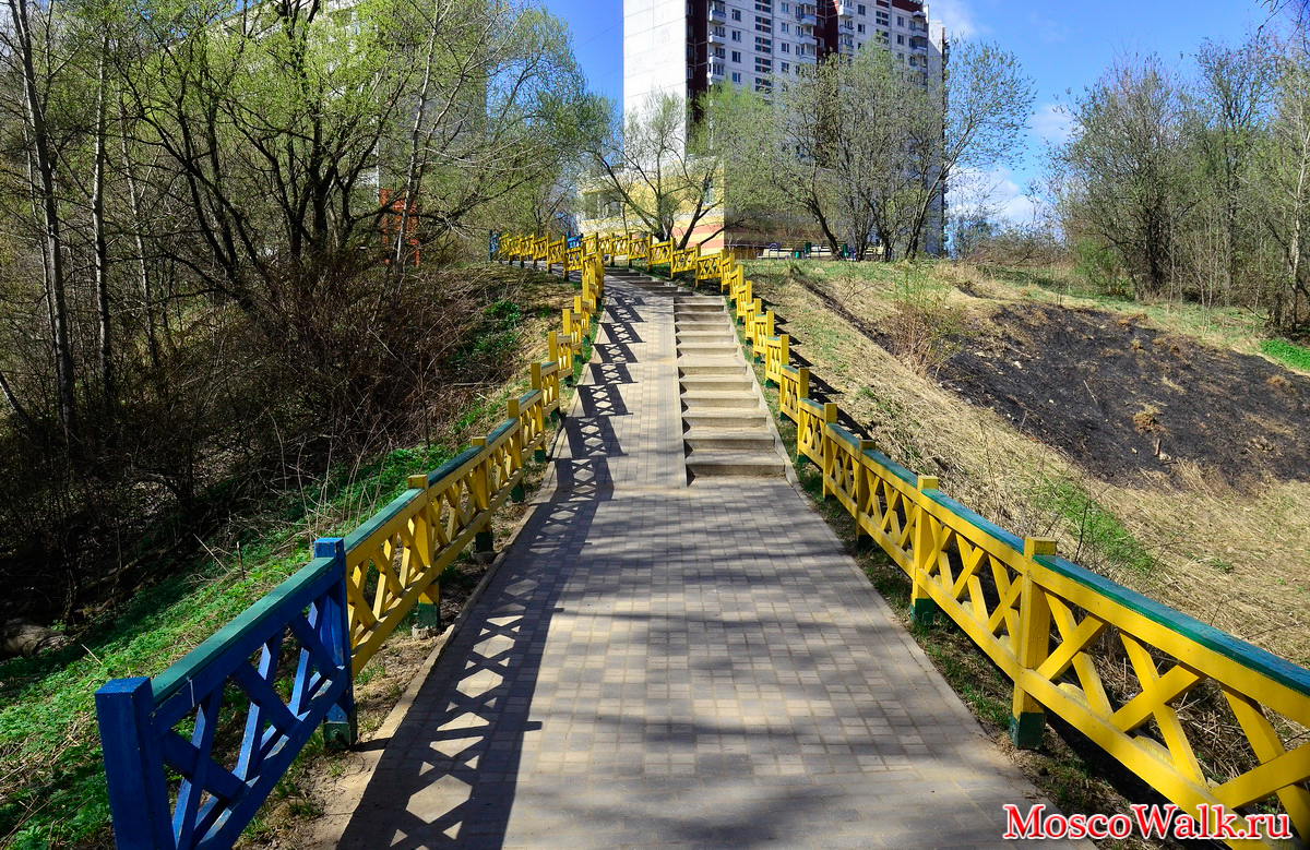 Тропаревский лесопарк фото