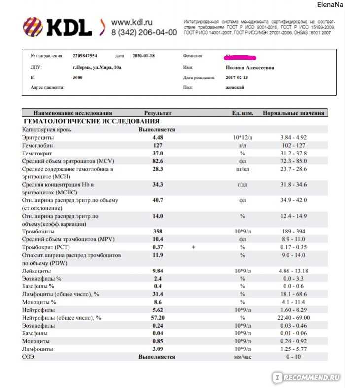 Биохимический кдл. Анализ крови. Результаты анализов. Результаты анализа крови.