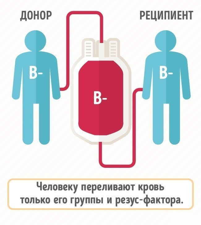 Реципиент трансплантация. Донор и реципиент. Доноры и реципиенты крови. Переливание крови донор реципиент. Донор и реципиент группа.