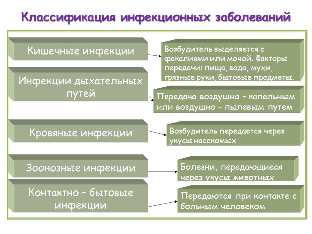 Классификация инфекций. Классификация инфекционных болезней схема. Классификация инфекционных заболеваний по природе возбудителей. Схема классификации болезней человека. Классификация инфекционных заболеваний по источнику возбудителя.