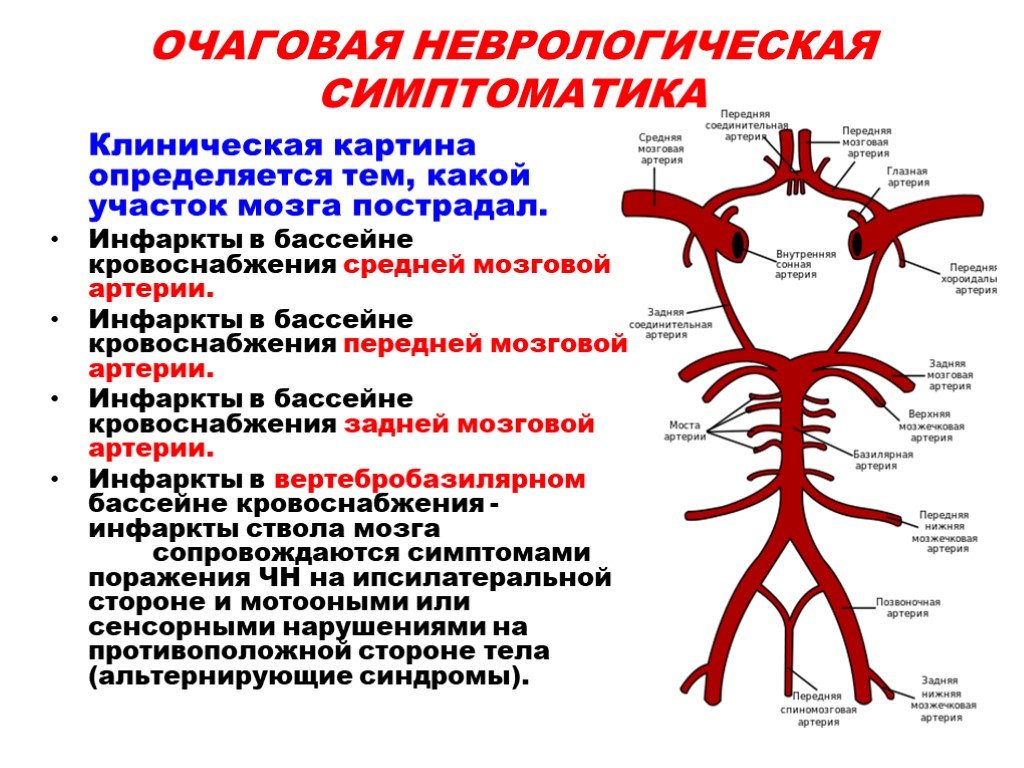 Признаки артериального кровообращения. ОНМК В правой средней мозговой артерии клиника. Инсульт в средней мозговой артерии клиника. Ишемический инсульт передней мозговой артерии клиника. Бассейн правой внутренней сонной артерии инсульт клиника.