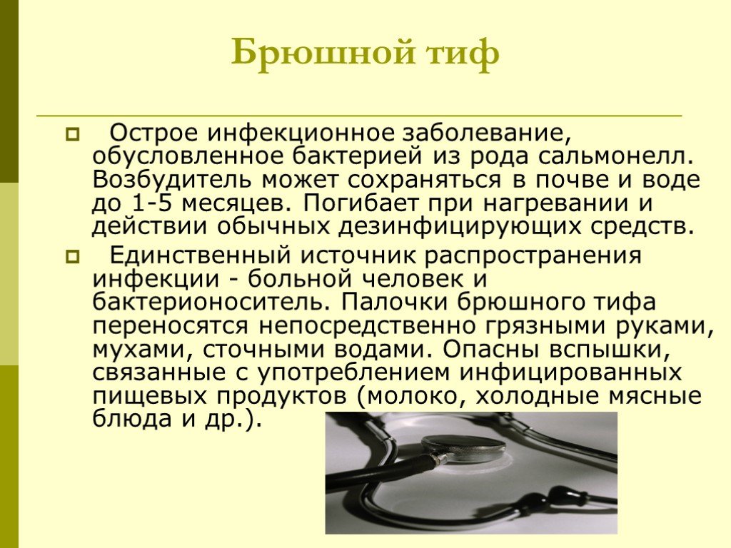 Сообщение о заболевании. Брюшной тиф возбудитель болезни. Переносчик брюшного тифа. Профилактика болезни тиф.