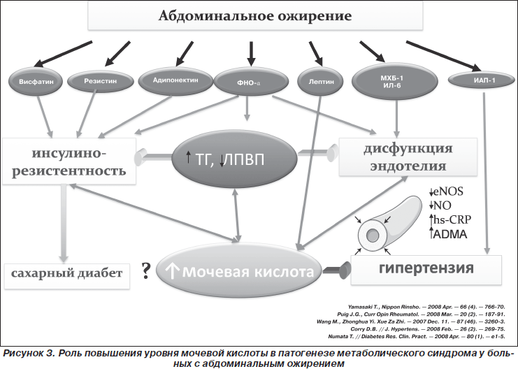 Гиперурикозурия и гиперурикемия. Метаболический синдром мочевая кислота. Синдром гиперурикемии. Гиперурикемия метаболическая. Метаболический синдром и гиперурикемия.