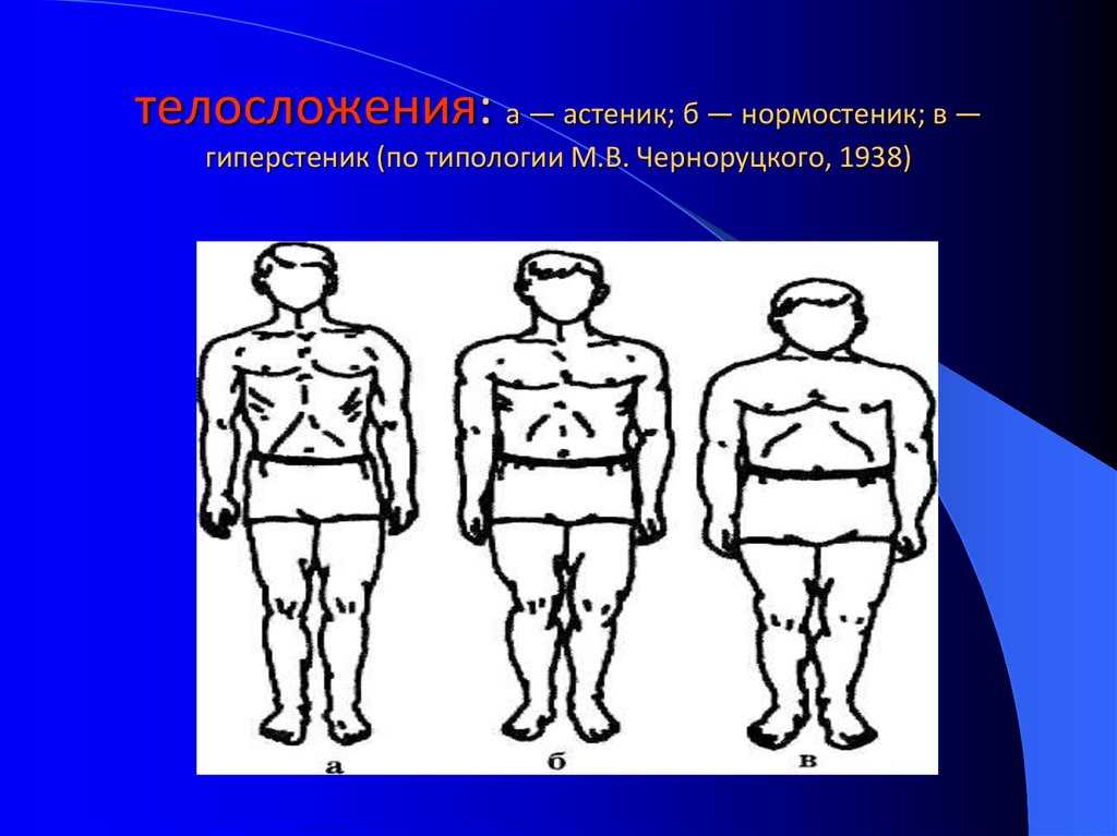 Людей астенического телосложения. Типы фигур астеник нормостеник гиперстеник. Тип Конституции нормостеник что это. Тип Конституции гиперстеник. Гиперстеник Тип телосложения.