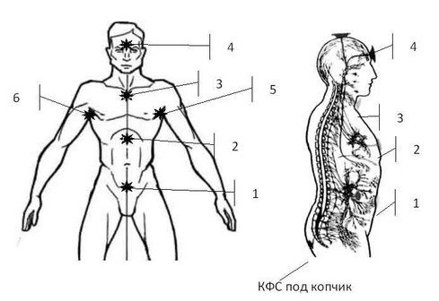 Солнечное сплетение человека рисунок