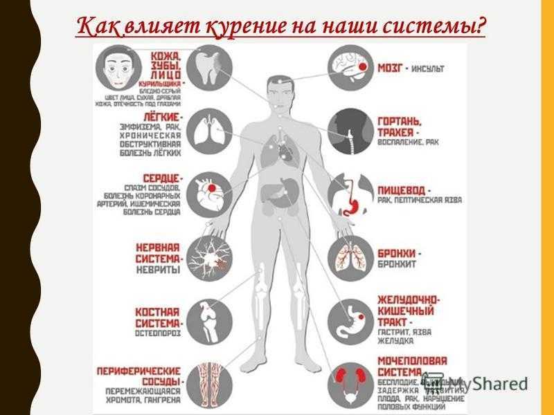 Влияет ли рост. Статистика влияния курения на организм. Влияние курения на растущий организм. Памятка как курение влияет на организм. Как курение влияет на все системы организма.